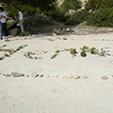 28   Incentive, Island Rallye, Mallorca